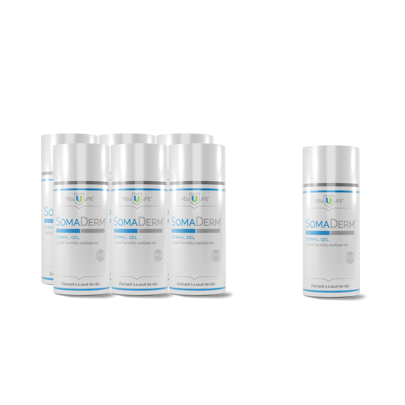 6 Month Maintenance Pack